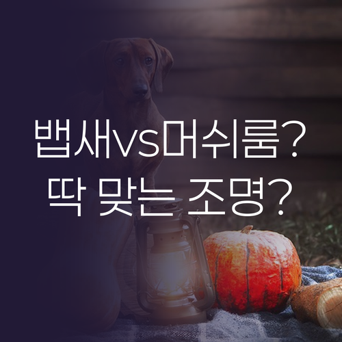 뱁새 무드등과 머쉬룸 스탠드, 당신의..