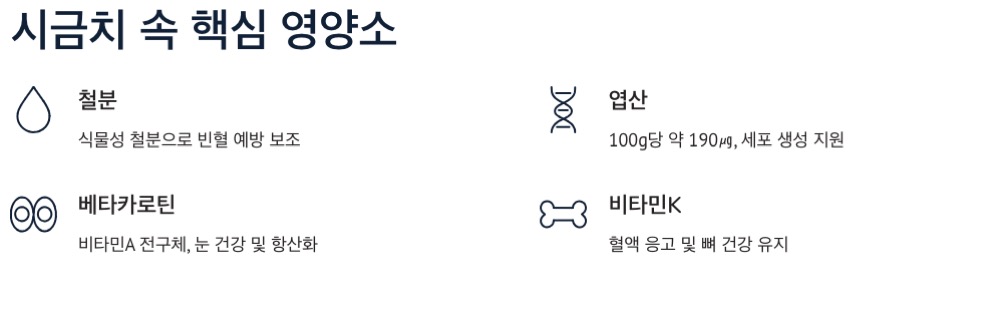 시금치 영양소