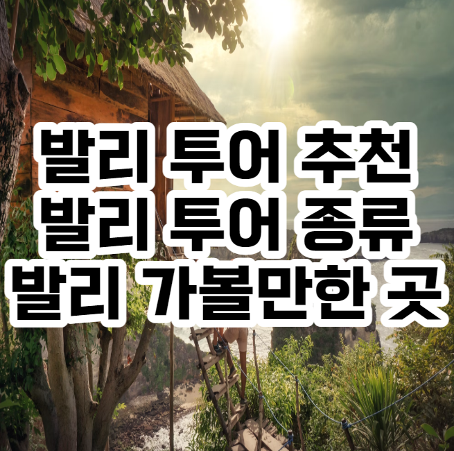 발리 투어추천