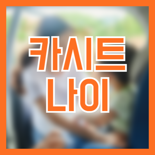 카시트 사용 나이 기준 언제까지 착용해야할까!?