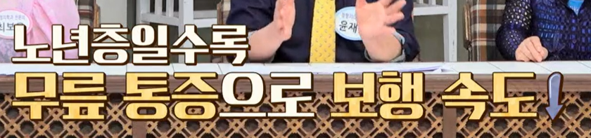 콘드로이친 효능