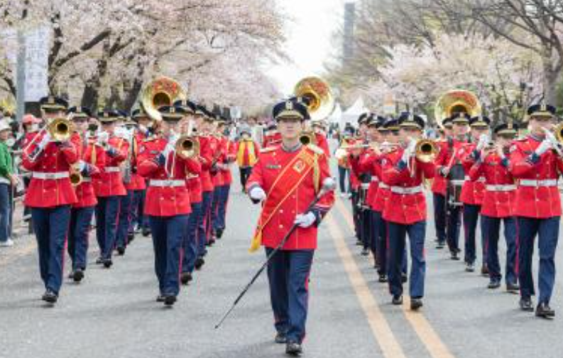 여의도 벚꽃축제 일정