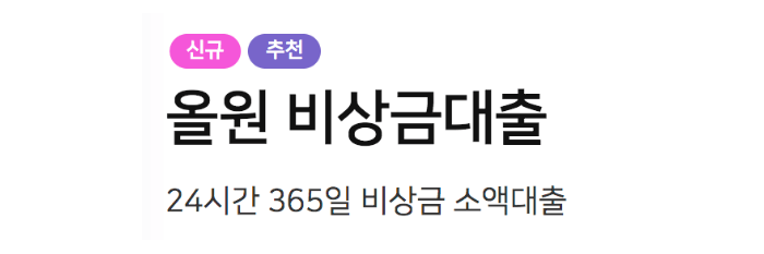농협올원비상금대출