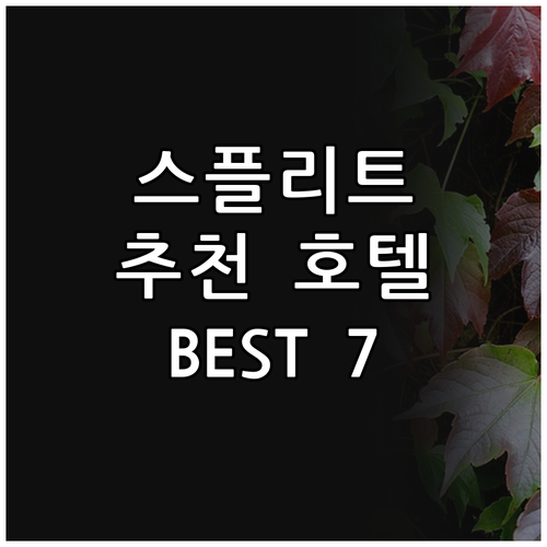 스플리트 추천 호텔 Best 7! 디..