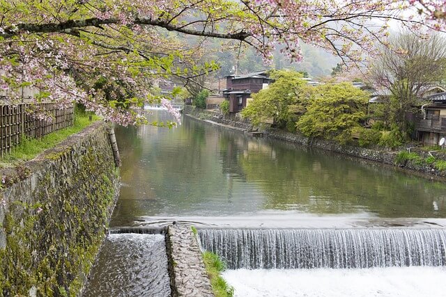 일본 벚꽃 명소