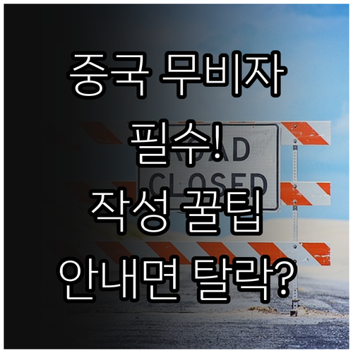중국 무비자 입국 전자신고서 작성법..