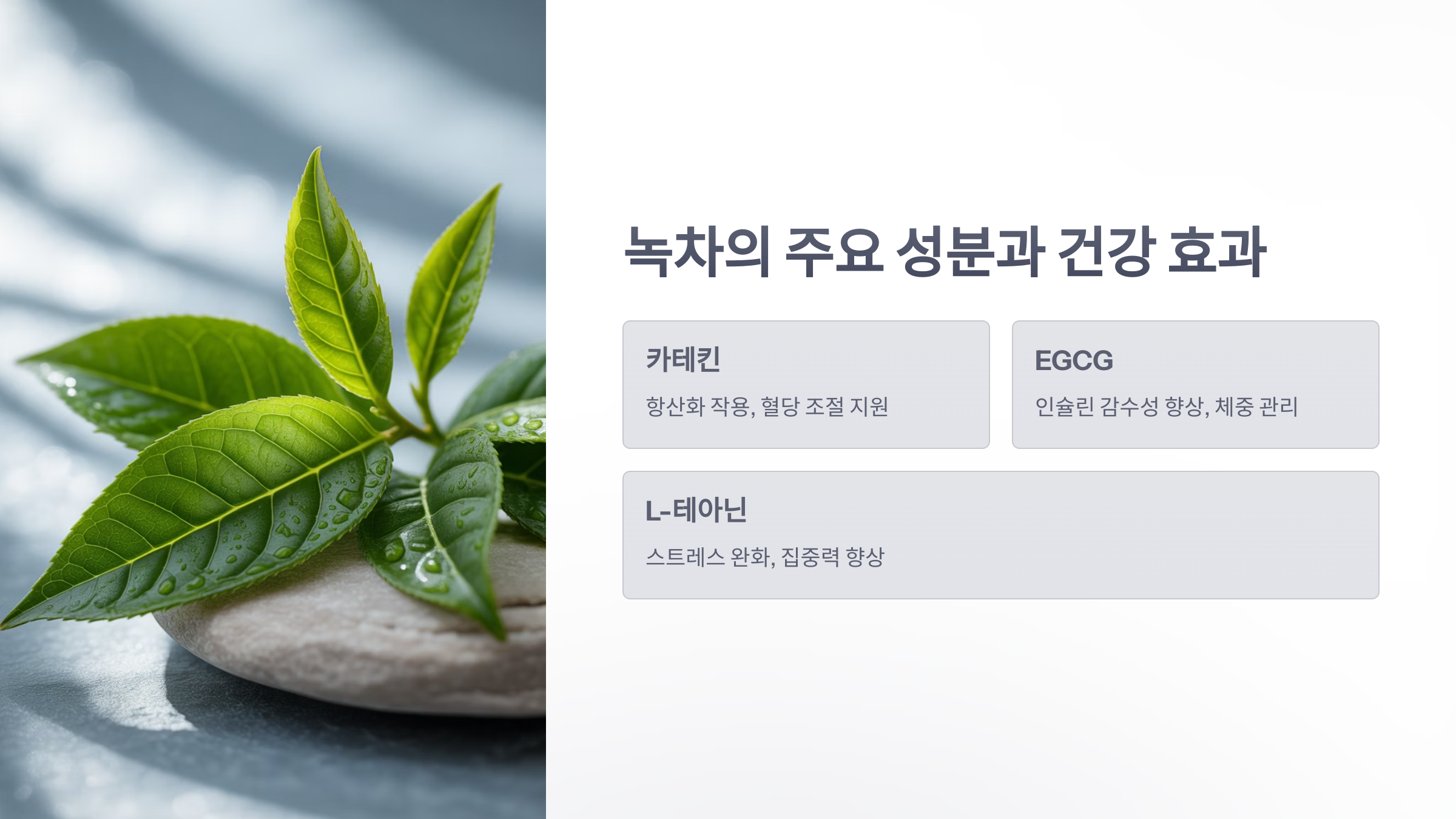 참조-녹차로-혈당-조절-2