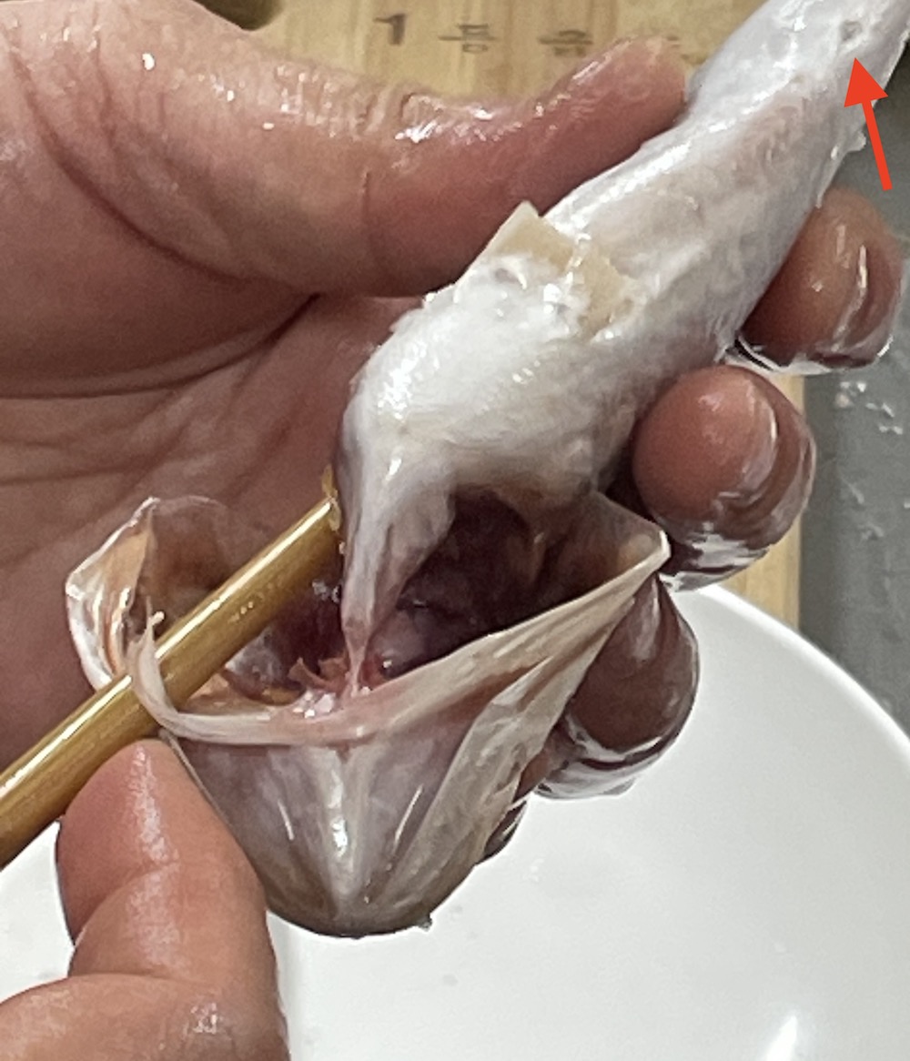 한식조리기능사 실기시험 준비 - 생선양념구이-내장 빼기