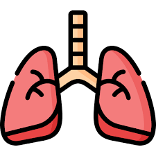 폐에 물이 차는 원인