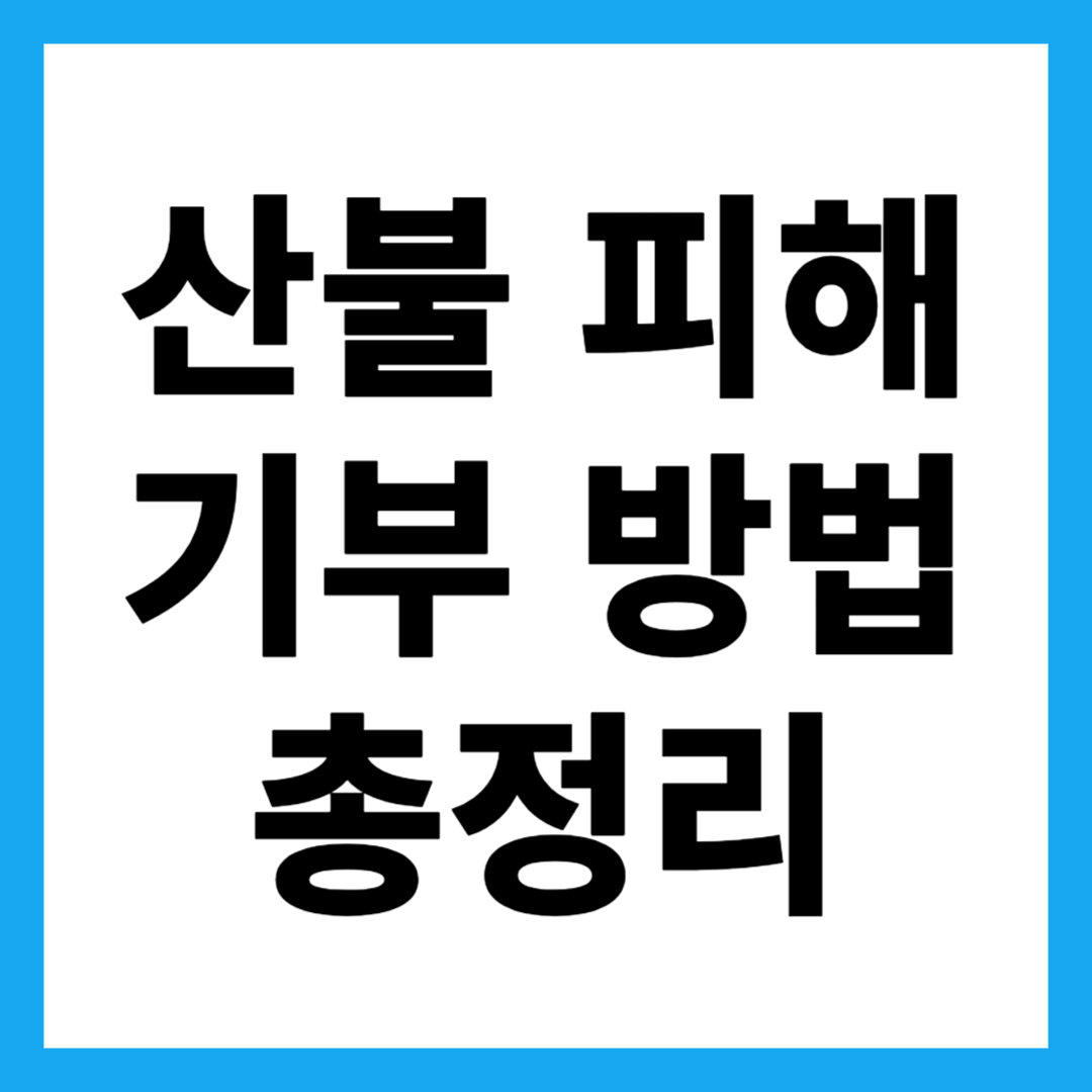 산불 피해 기부 방법 총정리