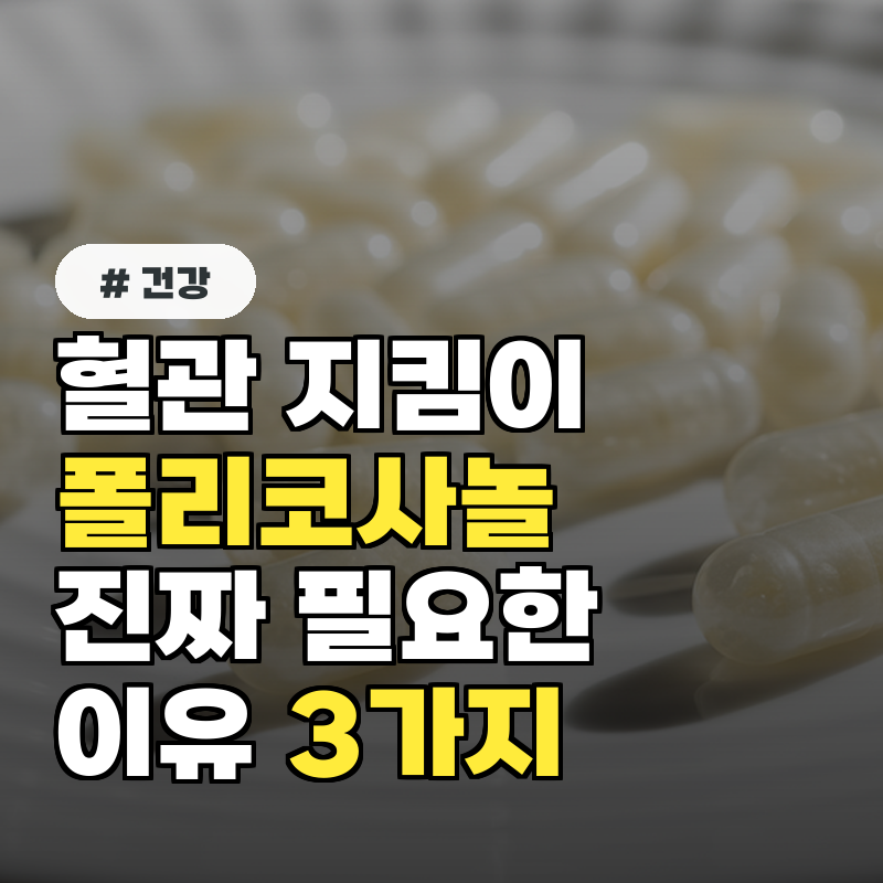 혈관 지킴이 폴리코사놀, 당신에게 꼭 필요한 진짜 이유 3가지