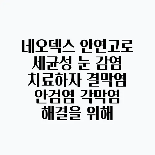 네오덱스 안연고로 세균성 눈 감염 치료하자 결막염 안검염 각막염 해결을 위해
