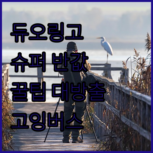 고잉버스로 듀오링고 슈퍼 반값에 쓰는