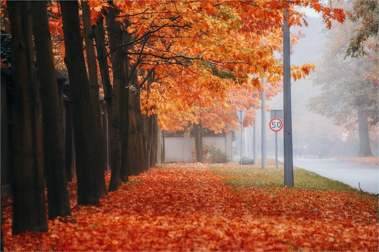 새마을금고 정기예금 금리