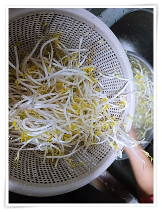 숙주나물 무침 3