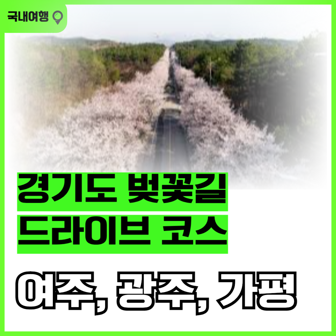 경기두 봄 벚꽃 길 드라이브 코스