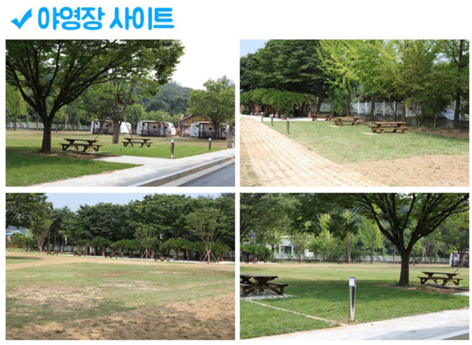 캠핑장 추천