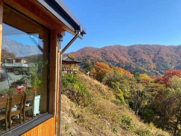 지리산 살구 카페 과일요거트 카페오도재