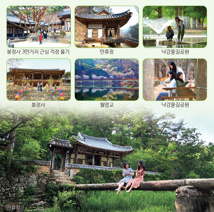 당일 봉정사 &amp; 만휴정(월영교) 권역1