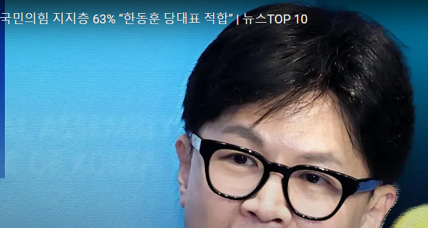 국민의힘 당대표 적합도