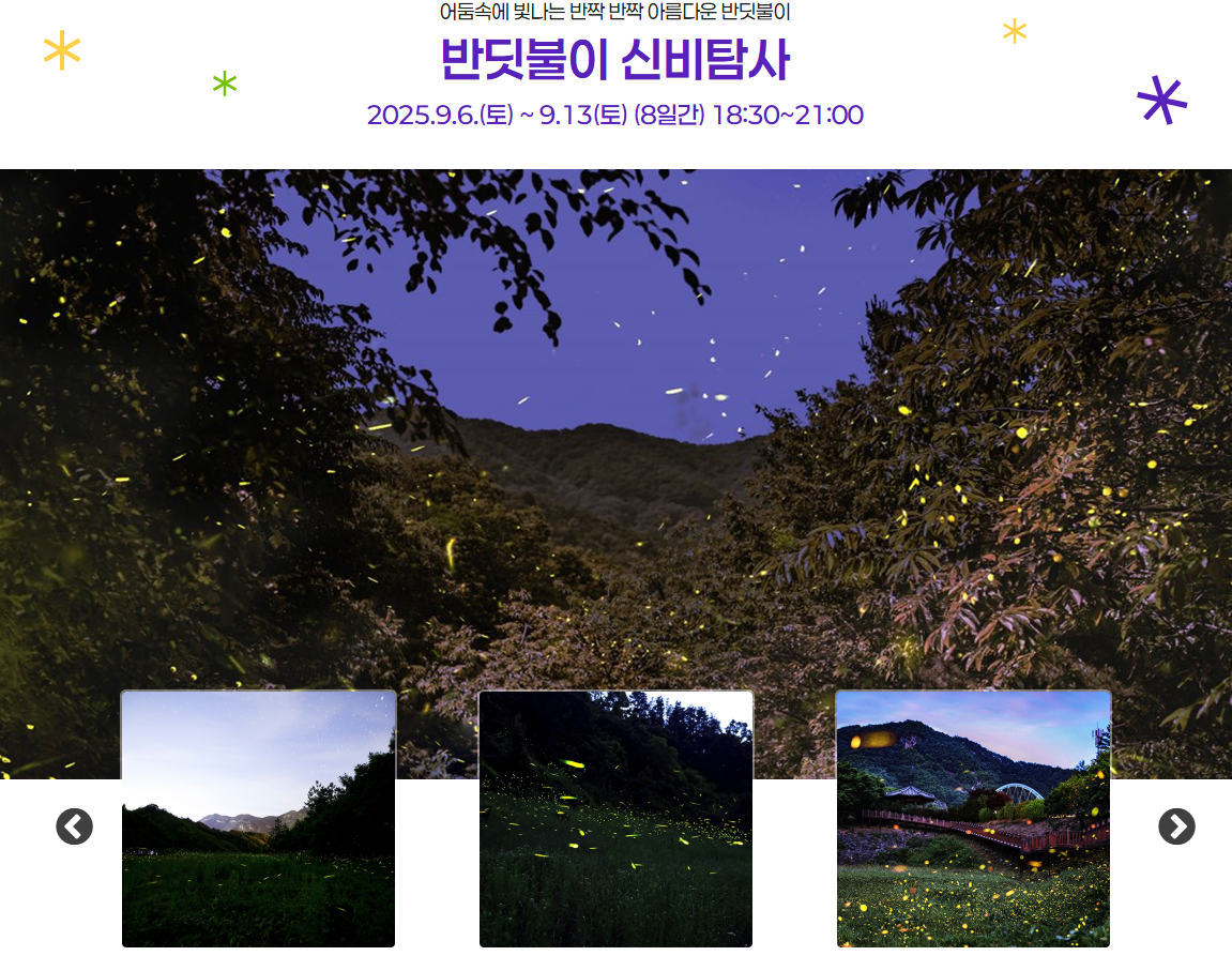반딧불이 야간