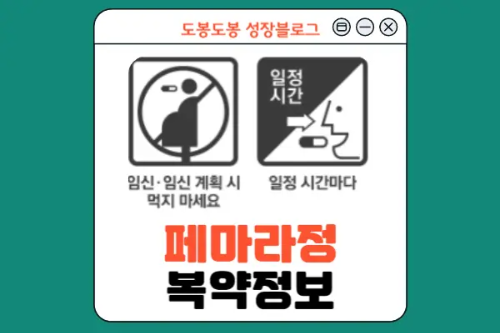 페마라정 복약 정보 이미지