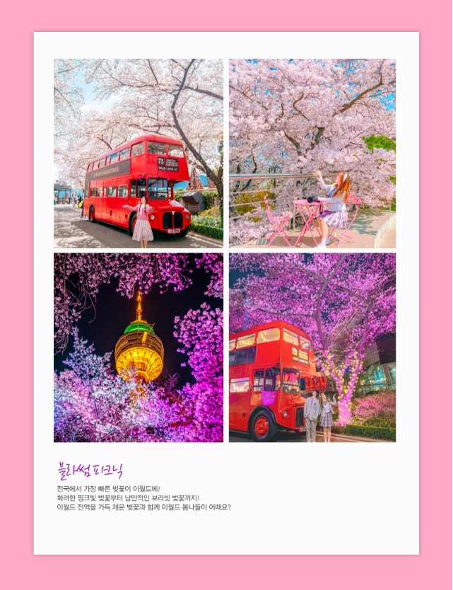 '이월드 블라썸 피크닉' 행사소개, 축제안내, 관련영상