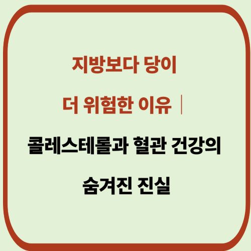 지방보다 당이 더 위험한 이유: 콜레스테롤과 혈관 건강의 숨겨진 진실