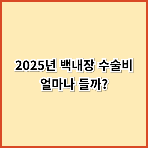 2025년 백내장 수술비 얼마나 들까? 노인을 위한 최신 수술비 가이드