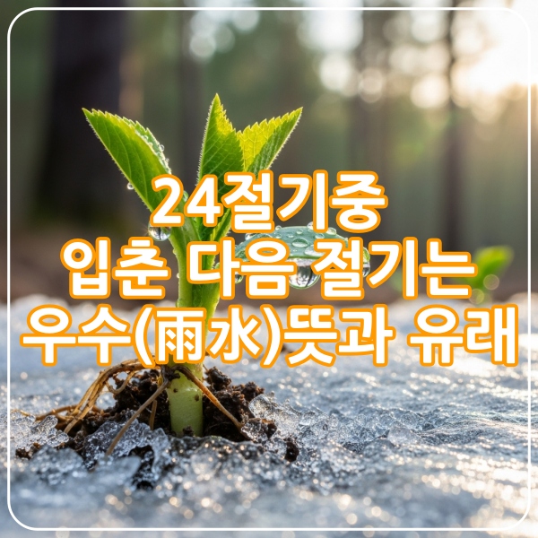 입춘다음절기 우수