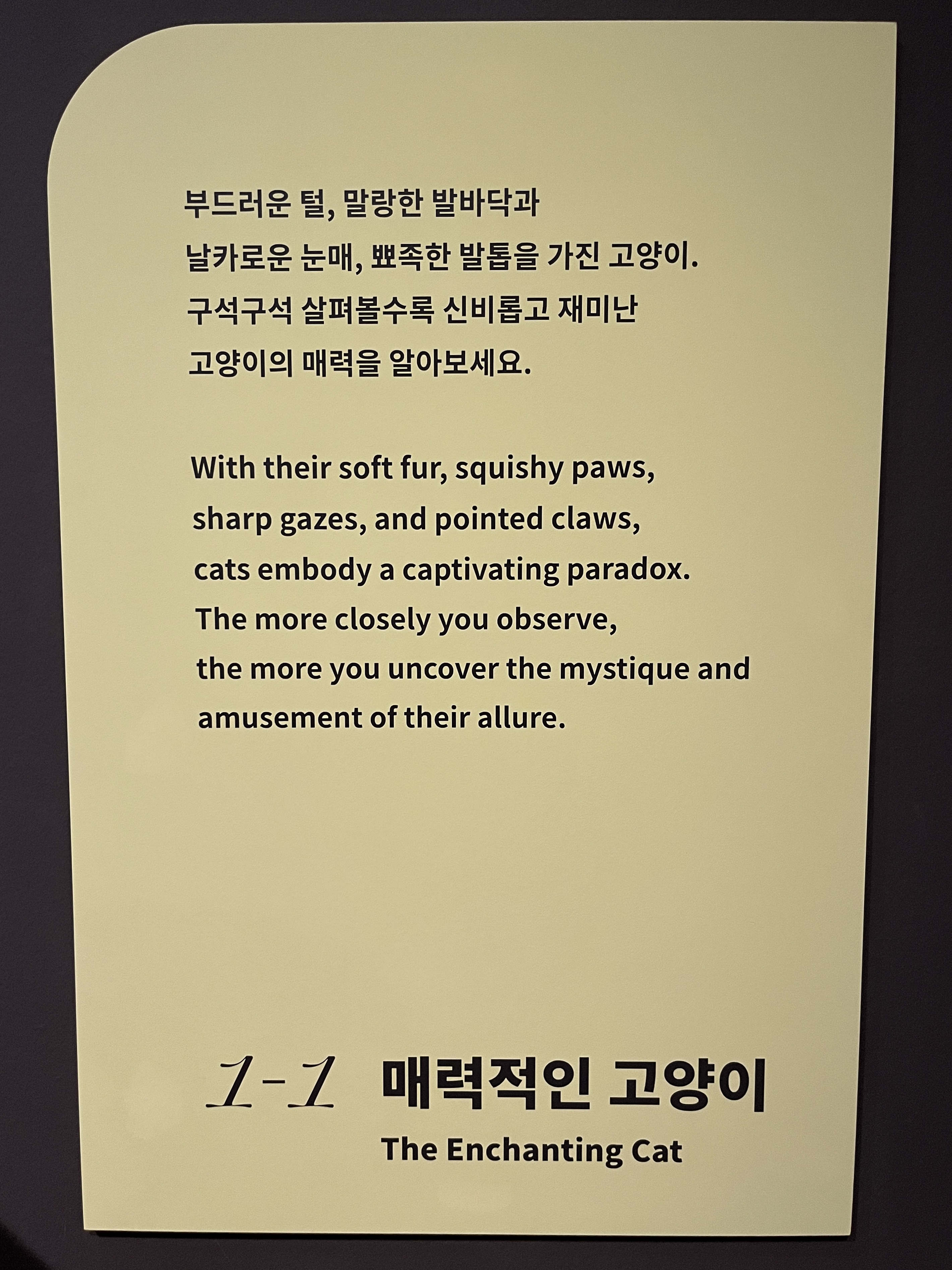 요물 우리를 홀린 고양이