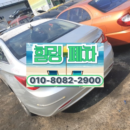 성남분당구판교폐차장