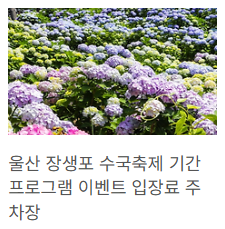 울산 수국