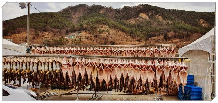 6시-내고향-경남-거제-고향노포-40년-전통-대구찜