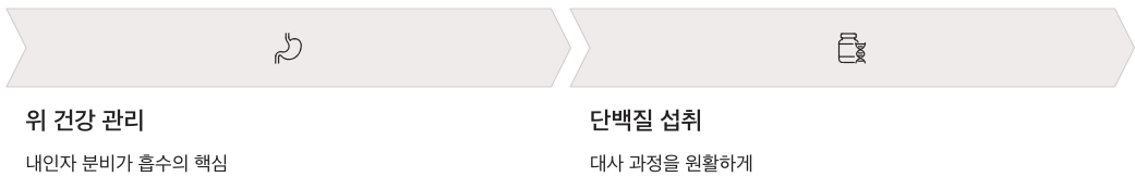 비타민b12 단백질 섭취