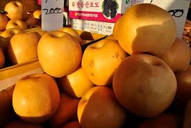 제23회 울산 배축제 기본정보와 특징 정리 박군 박성은 양예린 서지오 등 출연