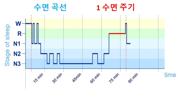 잠 수면