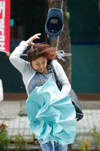 태풍에-청색-모자가-날아가버리는-모습