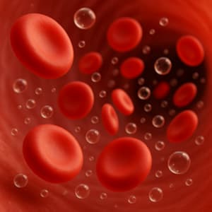 혈당 - 혈액 속 포도당