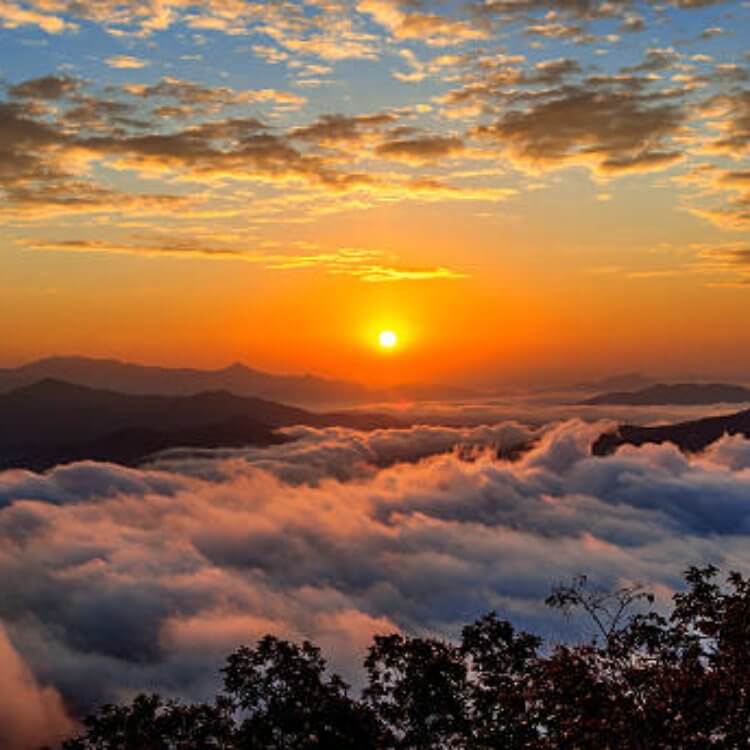 산에서-보는-일출