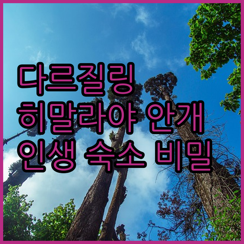 히말라야 안개를 마주하며 깨어나는 다..