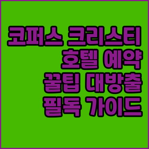 코퍼스 크리스티 호텔 예약 전 필독