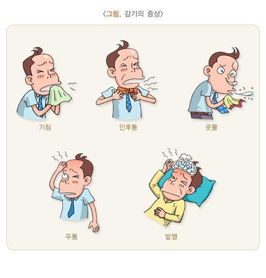 호흡기 질환 : 감기- 종류, 증상, 치료방법, 예방법.