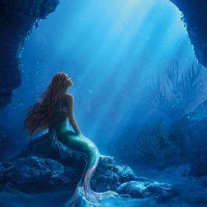 인어공주의 새로운 주인공 "Halle Lynn Bailey"