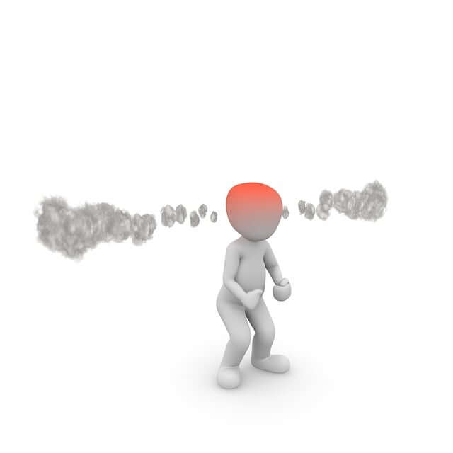 국힘 해산 청원