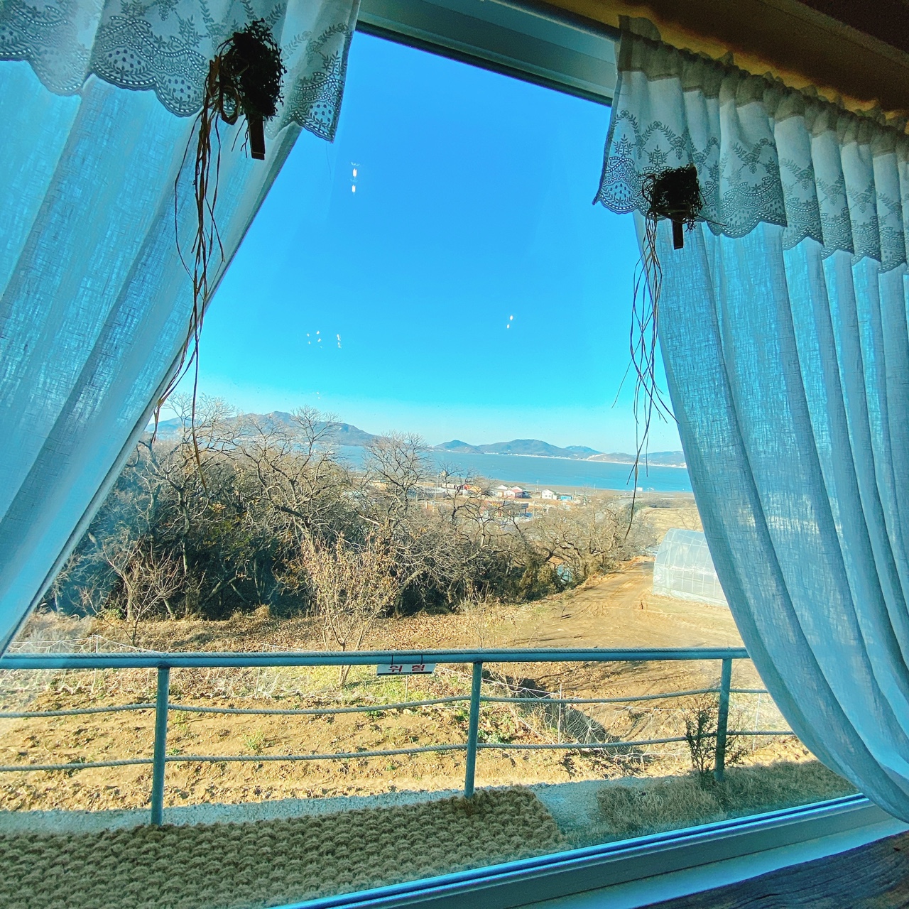 강화도 야생화 뜰 카페