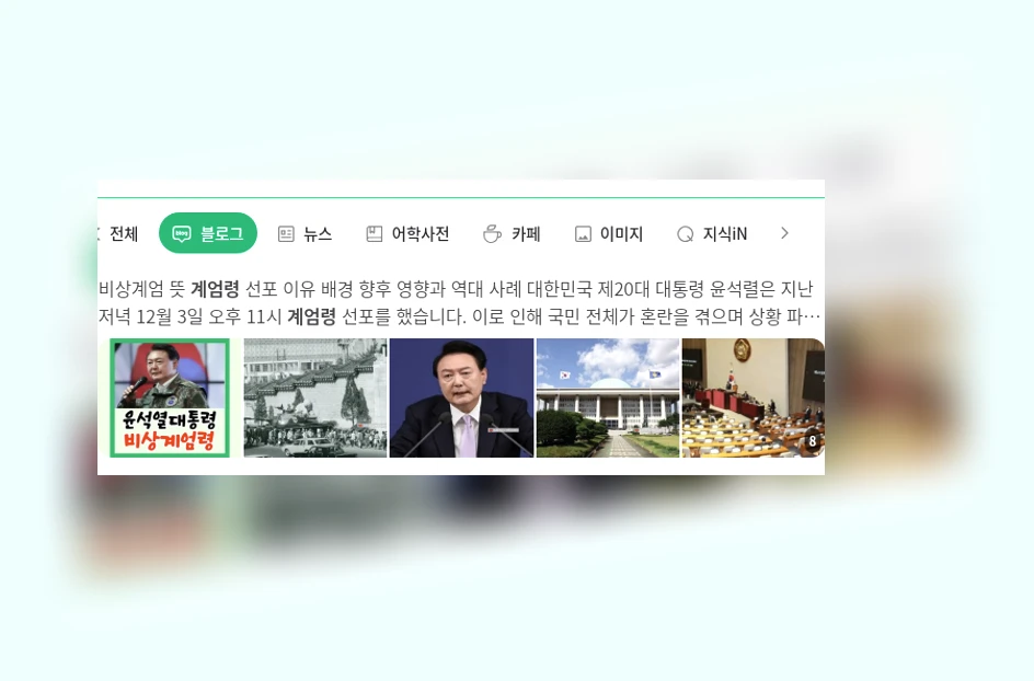 계엄령_1_subsection