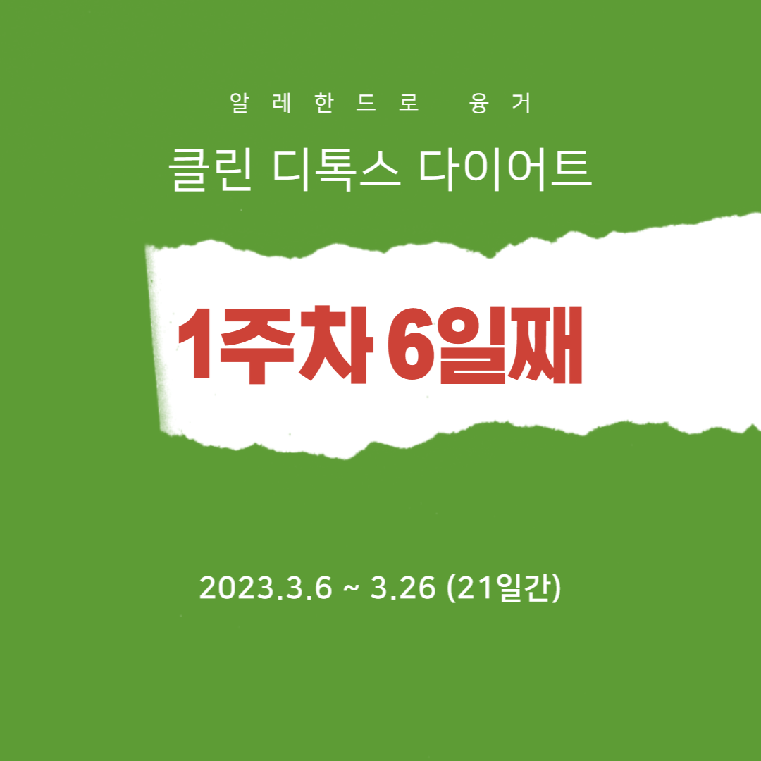 디톡스