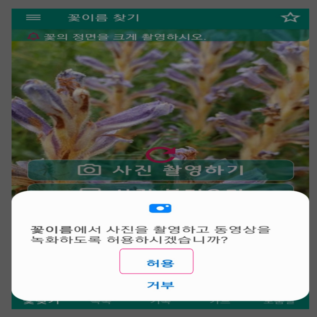 꽃이름 찾기 앱