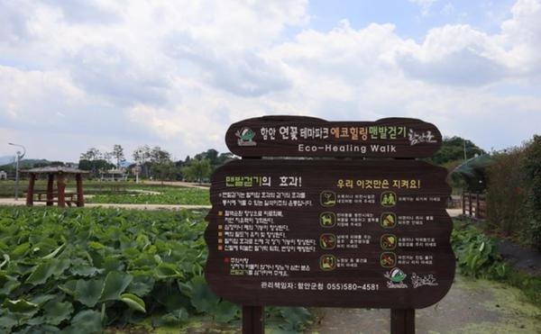 고성 가볼만한곳